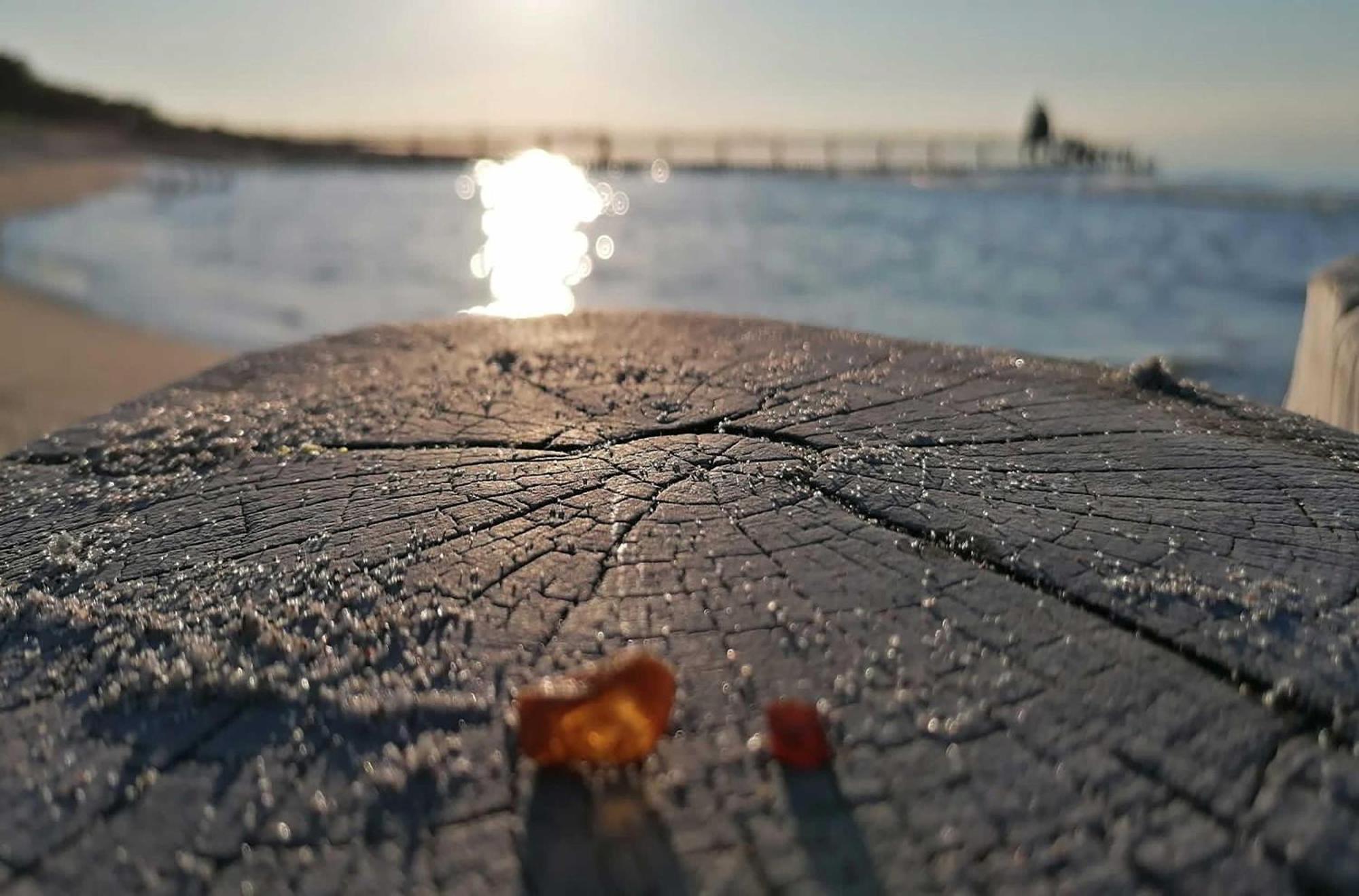 Meeresbrise Im Ostseeheilbad Zingst Zewnętrze zdjęcie