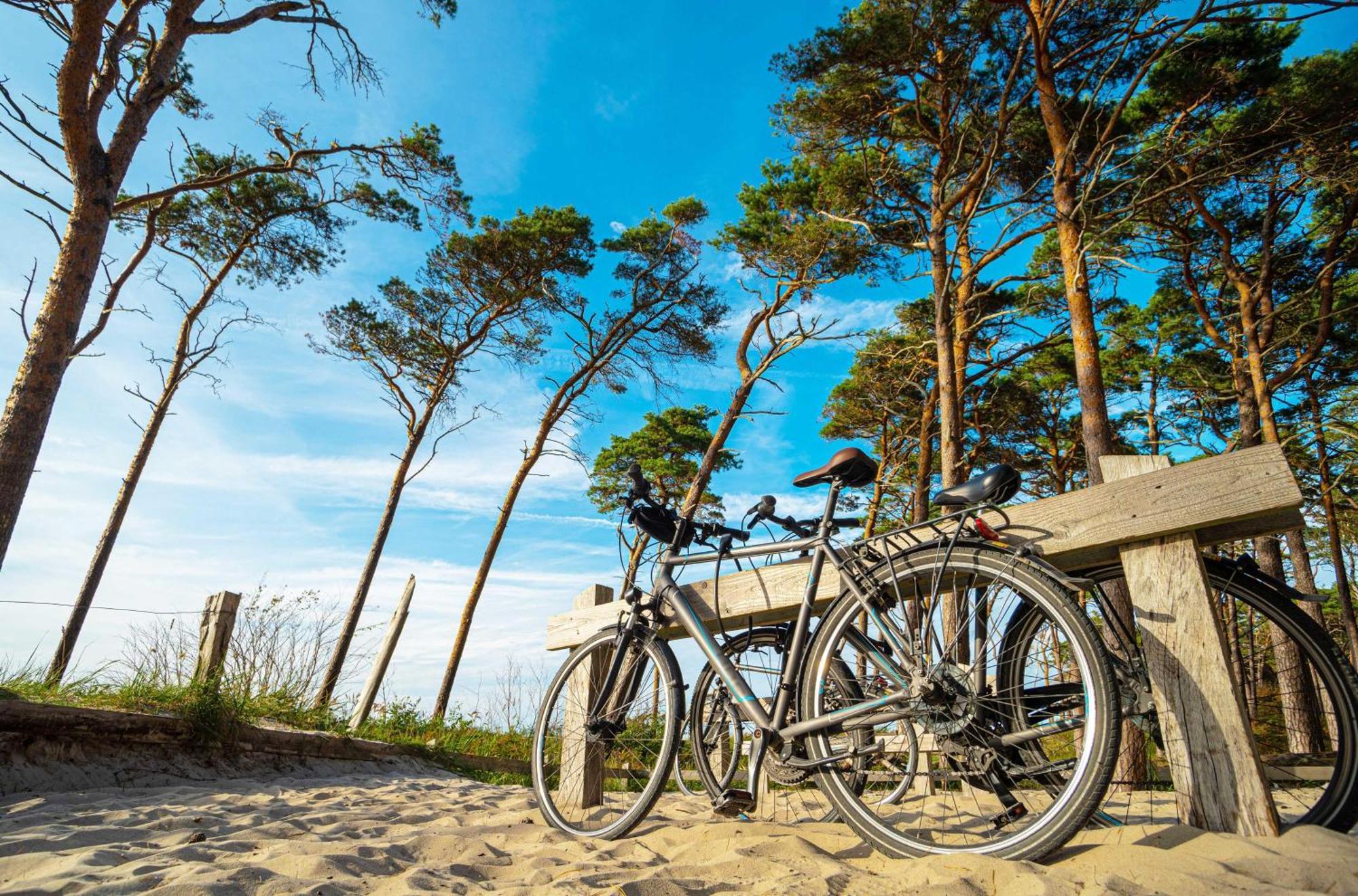 Meeresbrise Im Ostseeheilbad Zingst Zewnętrze zdjęcie