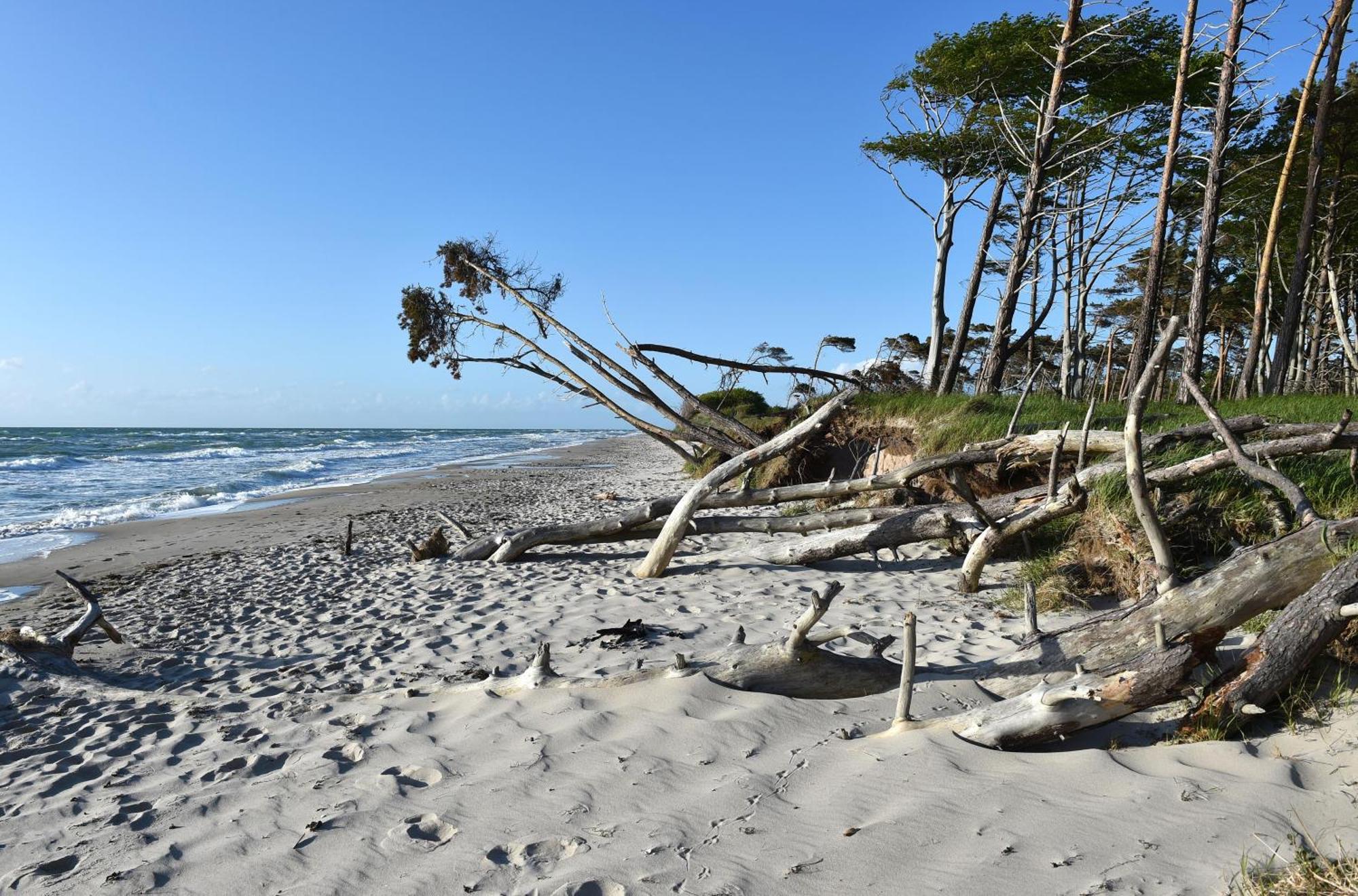Meeresbrise Im Ostseeheilbad Zingst Zewnętrze zdjęcie